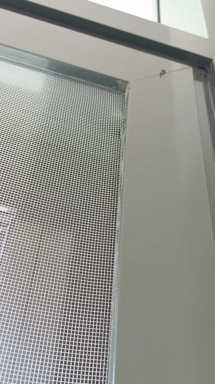 Torn and displaced window insect mesh found at Mudon villa during snagging inspection